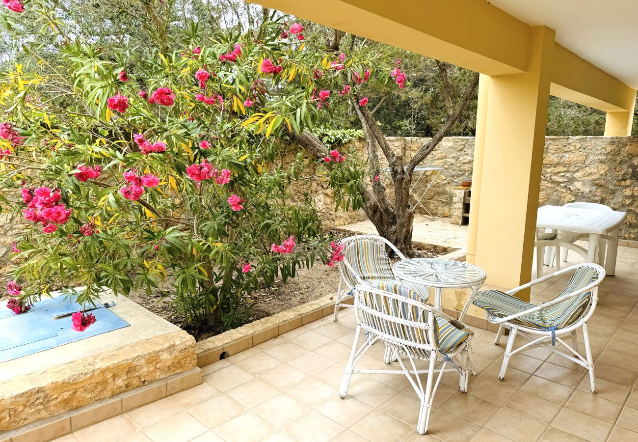 Apartamento en Punta Prima -  Vivienda Turística 